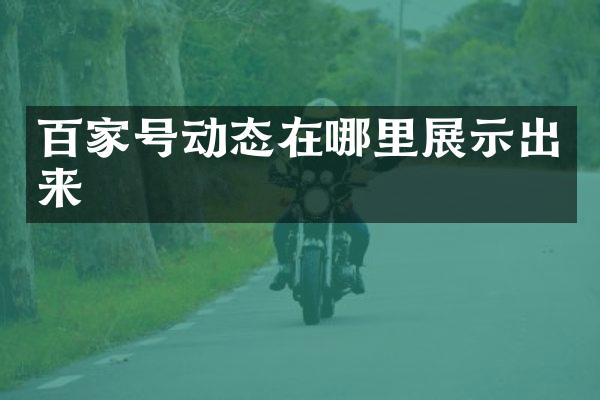 百家号动态在哪里展示出来