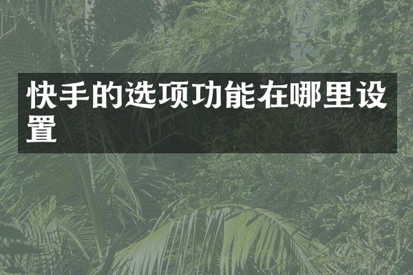 快手的选项功能在哪里设置