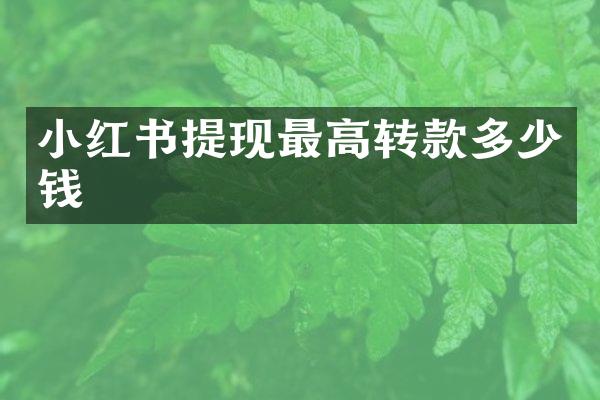 小红书提现最高转款多少钱