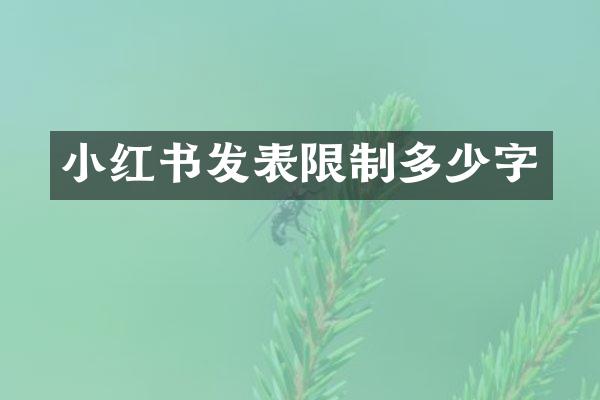 小红书发表限制多少字