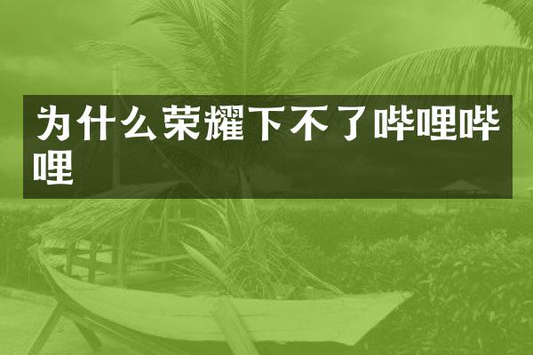 为什么荣耀下不了哔哩哔哩