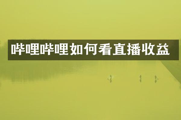 哔哩哔哩如何看直播收益