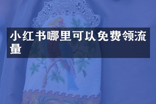 小红书哪里可以免费领流量