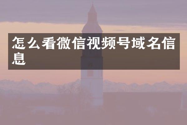 怎么看微信视频号域名信息