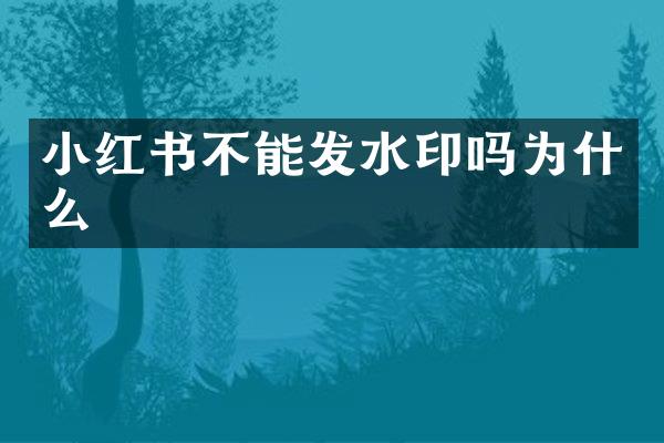 小红书不能发水印吗为什么