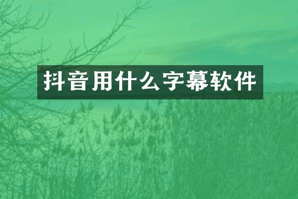 抖音用什么字幕软件
