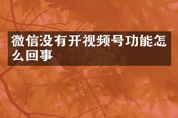 微信没有开视频号功能怎么回事