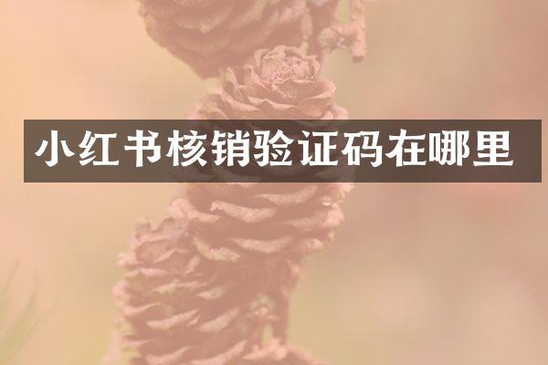 小红书核销验证码在哪里