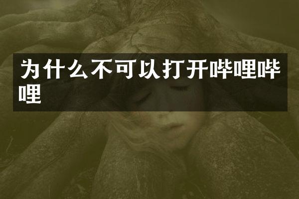 为什么不可以打开哔哩哔哩