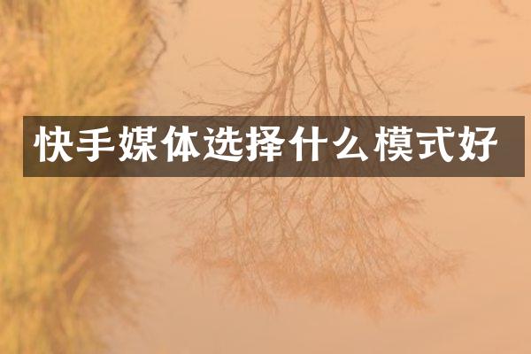 快手媒体选择什么模式好
