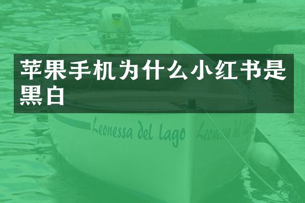 苹果手机为什么小红书是黑白