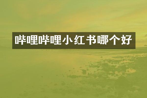 哔哩哔哩小红书哪个好