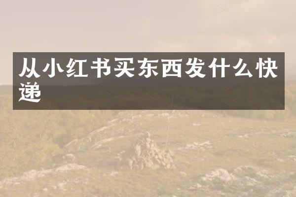 从小红书买东西发什么快递