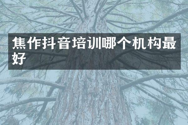 焦作抖音培训哪个机构最好