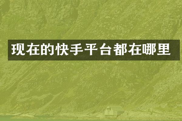 现在的快手平台都在哪里
