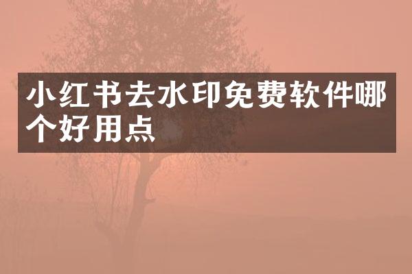 小红书去水印免费软件哪个好用点