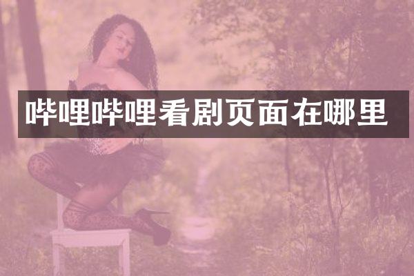 哔哩哔哩看剧页面在哪里