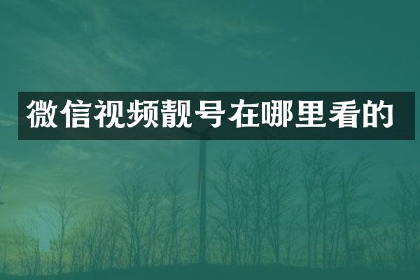 微信视频靓号在哪里看的