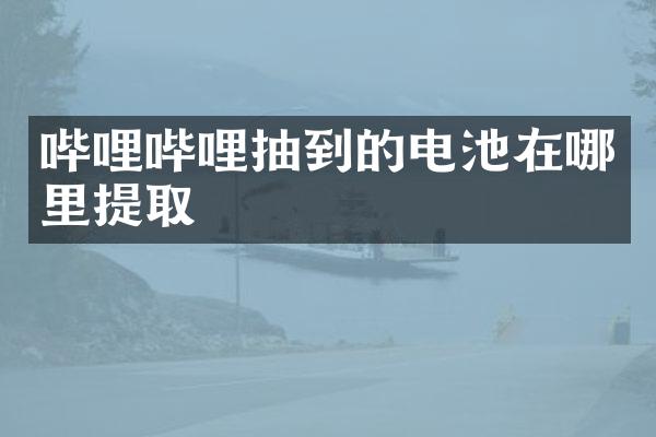 哔哩哔哩抽到的电池在哪里提取