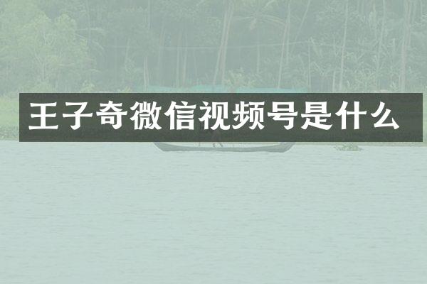 王子奇微信视频号是什么
