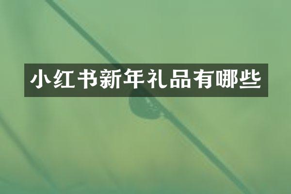 小红书新年礼品有哪些