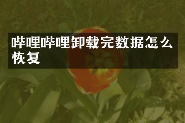 哔哩哔哩卸载完数据怎么恢复