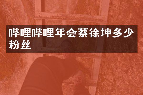 哔哩哔哩年会蔡徐坤多少粉丝