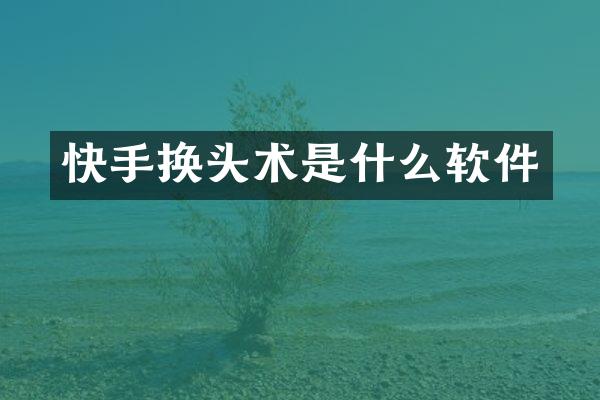 快手换头术是什么软件