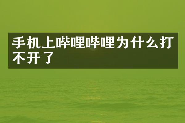 手机上哔哩哔哩为什么打不开了