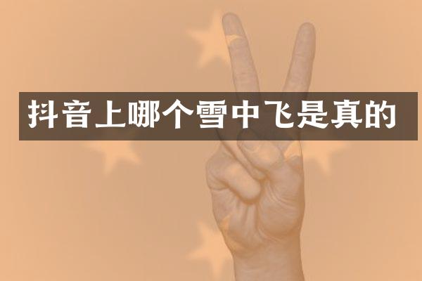 抖音上哪个雪中飞是真的