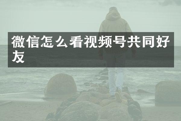 微信怎么看视频号共同好友