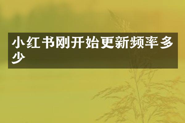 小红书刚开始更新频率多少