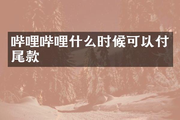 哔哩哔哩什么时候可以付尾款