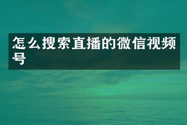 怎么搜索直播的微信视频号