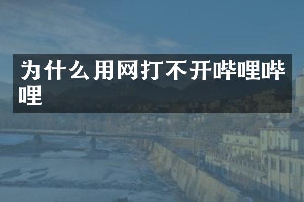 为什么用网打不开哔哩哔哩