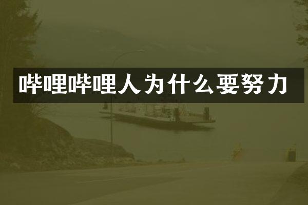 哔哩哔哩人为什么要努力