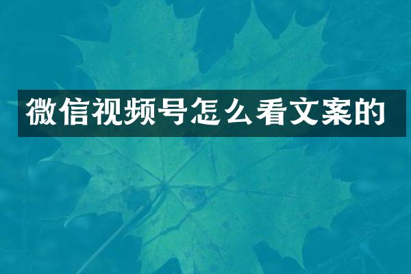 微信视频号怎么看文案的