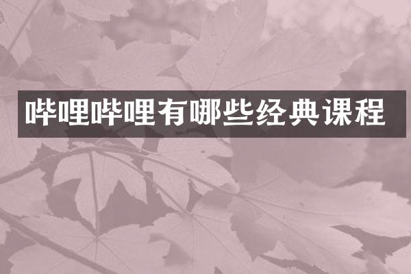 哔哩哔哩有哪些经典课程