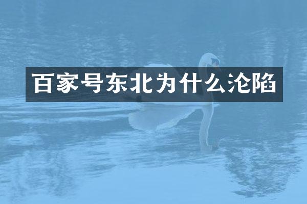 百家号东北为什么沦陷