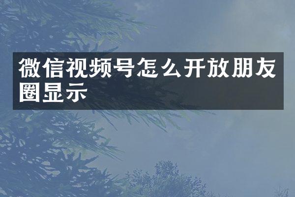 微信视频号怎么开放朋友圈显示