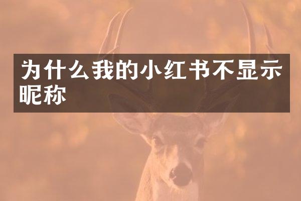 为什么我的小红书不显示昵称