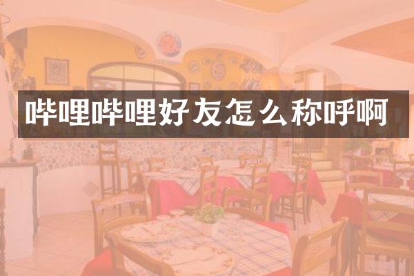 哔哩哔哩好友怎么称呼啊