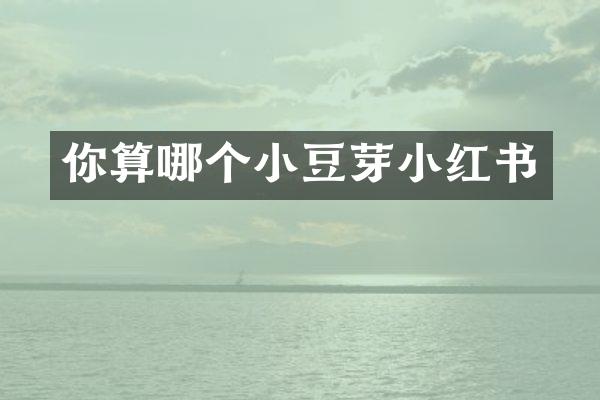 你算哪个小豆芽小红书