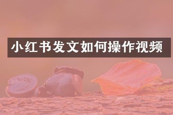 小红书发文如何操作视频
