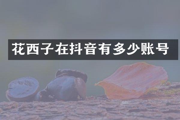 花西子在抖音有多少账号