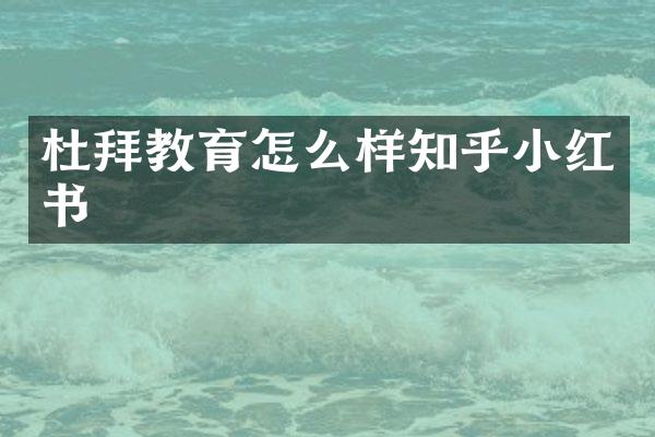 杜拜教育怎么样知乎小红书