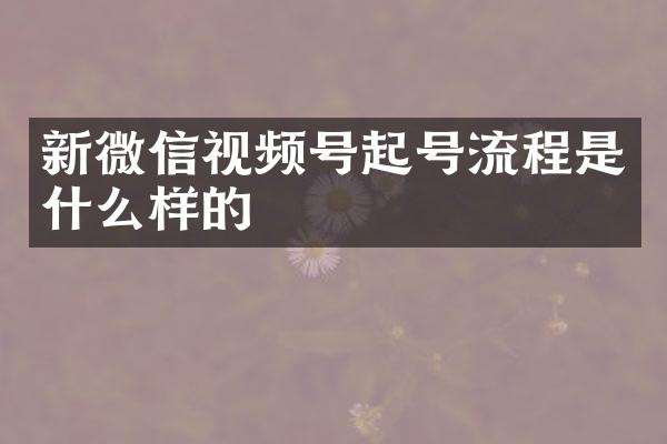 新微信视频号起号流程是什么样的