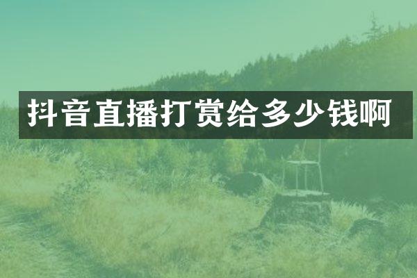 抖音直播打赏给多少钱啊