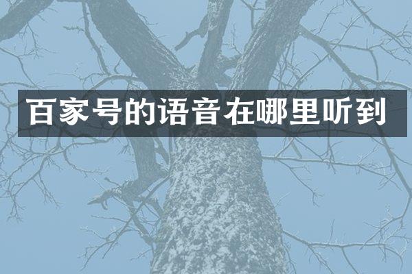 百家号的语音在哪里听到