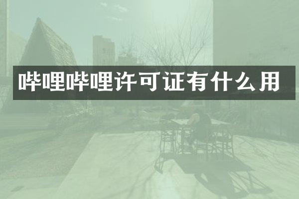 哔哩哔哩许可证有什么用